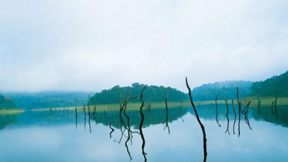 images